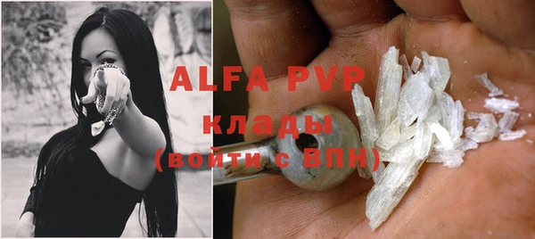 apvp Богданович