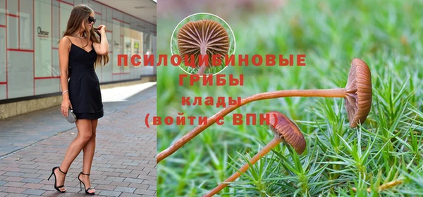 гашиш Богородск